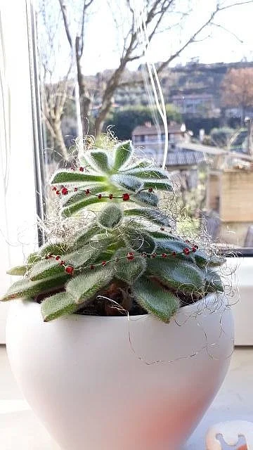 Božično-novoletni minimalizem?