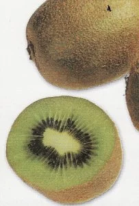 Aktinidija - Kivi