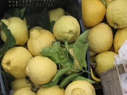 Capri, Sorrento, Amalfi ... ali ... 