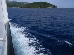 Moj južni otok 2013