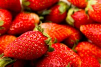 Jagode: Od kraljevske pregrehe do sodobne kulinarične inspiracije