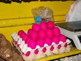 Nazaj v pozabljen raj