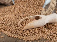 Ajda - slovenska ljudska jed