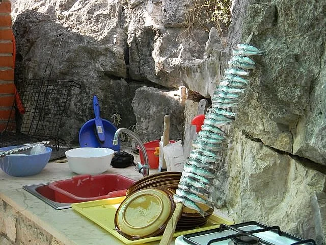 Ribe, ribe, ribice...