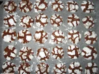 Fotografija recepta: Kakavovi razpokani piškotki