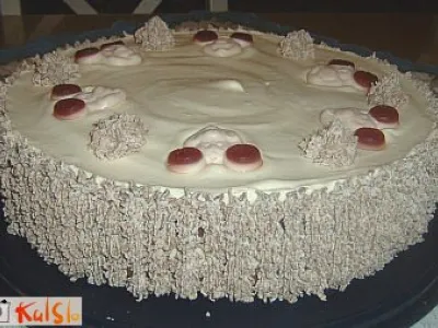 Čarobna torta za Vlasto