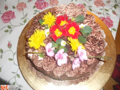 Čokoladno višnjeva torta