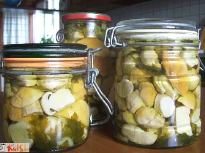 Jurčki  vloženi v olju 