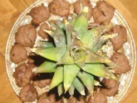 Fotografija recepta: Čoko - bana cookies