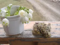 Fotografija recepta: Hrustljavi piškotki