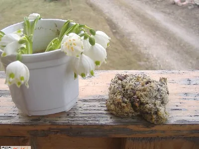 Hrustljavi piškotki