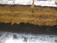 Fotografija recepta: Katarinine kocke