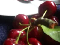 Fotografija recepta: Češnjeva marmelada