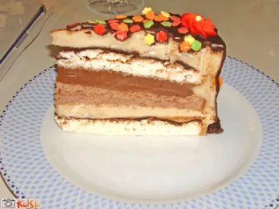 Bronhi torta