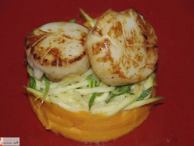 Kapesante ali jakobove pokrovače naravno