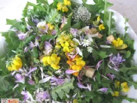 Fotografija recepta: Spomladanska travniška solatka