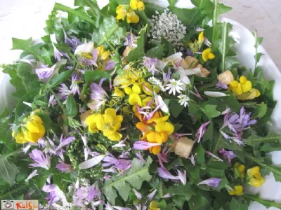 Spomladanska travniška solatka