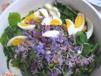 Fotografija recepta: Prvomajska solatka z vijolicami