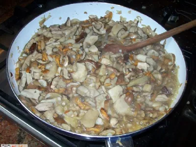 Mešane gobe za ozimnico