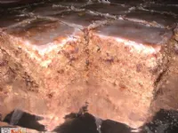 Fotografija recepta: Sočen in aromatičen Gradiščanski kolač