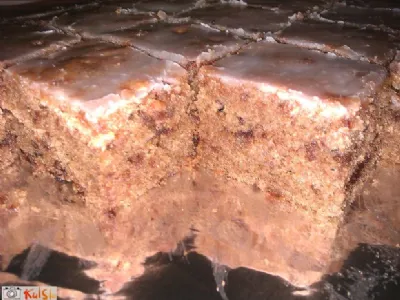 Sočen in aromatičen Gradiščanski kolač