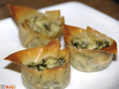 Polnjene Won-Ton skodelice