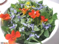 Fotografija recepta: Julijska solata