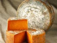 Fotografija recepta: Testenine v omaki iz  staranega rdečega leicesterskega sira