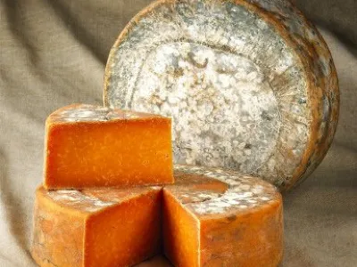 Testenine v omaki iz  staranega rdečega leicesterskega sira