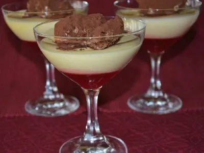 Čokoladna krema na sadnem želeju