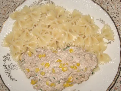 Testenine s tunino omako