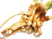 Fotografija recepta: De crème sure au raifort