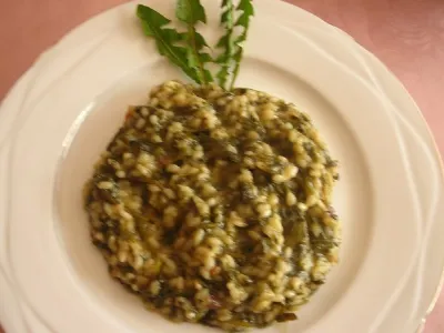 Rižota z regratom in panceto