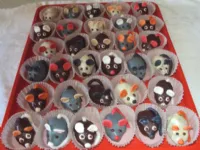 Fotografija recepta: Ta prave miške