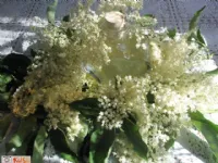 Fotografija recepta: Preprost bezgov sirup