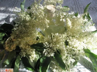 Preprost bezgov sirup