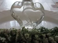 Fotografija recepta: Rmanov sirup 20