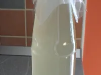 Fotografija recepta: Bezgov sirup (z malo sladkorja)