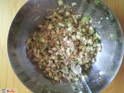 Pikantna hladilna solata