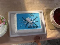 Fotografija recepta: Ledena malinova torta