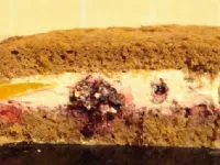 Fotografija recepta: Biskvit s sadjem 