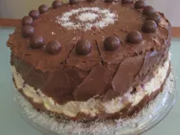 Fotografija recepta: Čokoladno kokosova torta