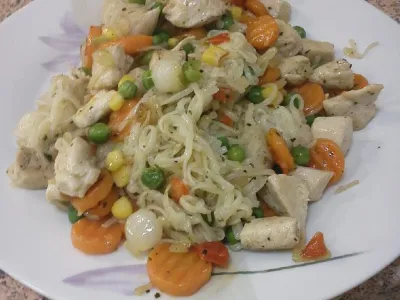 Riževe testenine  na slo-kit način