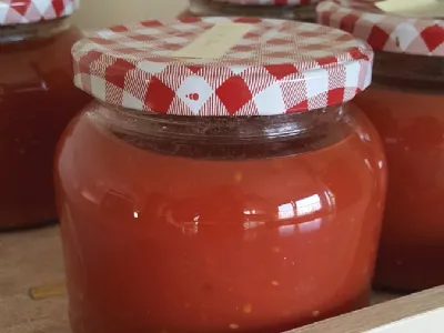 Paradižnikova mezga