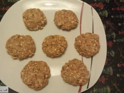 Tunini polpeti z ovsenimi kosmiči