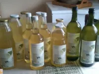 Fotografija recepta: Bezgov sirup