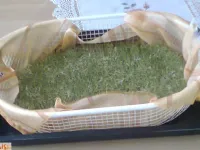 Fotografija recepta: Deteljni kalčki  - lucerna 