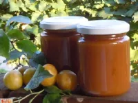 Fotografija recepta: Mirabelina marmelada