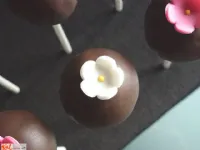 Fotografija recepta: Cake pops