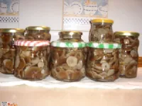 Fotografija recepta: Štorovke v kisu